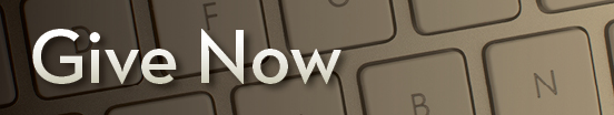 Give Now - Giving Options